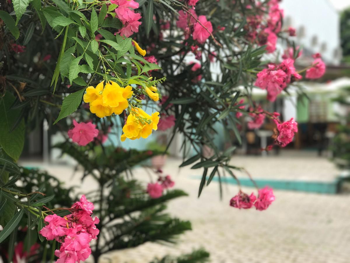Scenarium Hotel 자보아탕 두스 구아라라페스 외부 사진